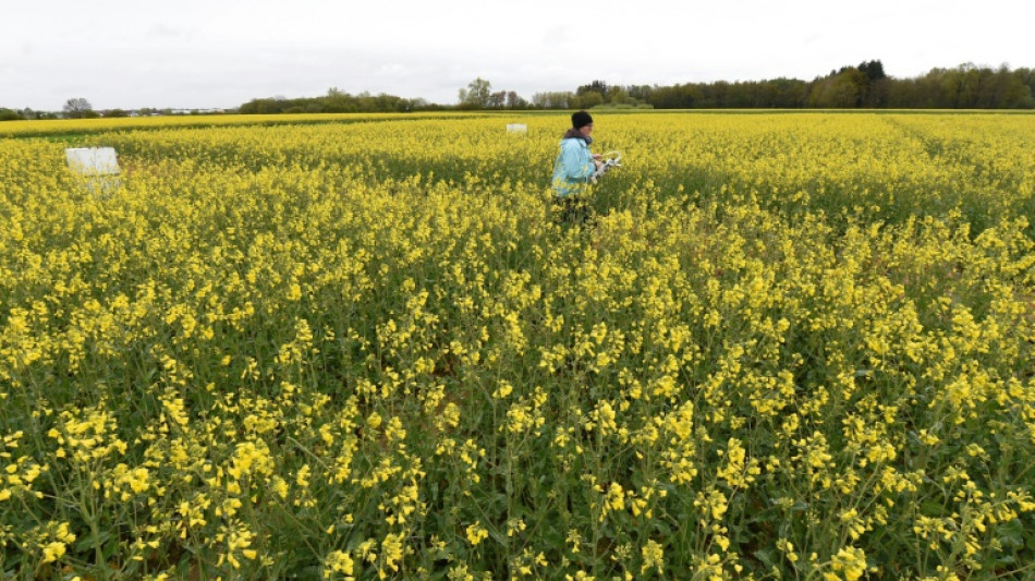 Les &eacute;missions de protoxyde d'azote mettent en p&eacute;ril les objectifs climatiques, selon une &eacute;tude