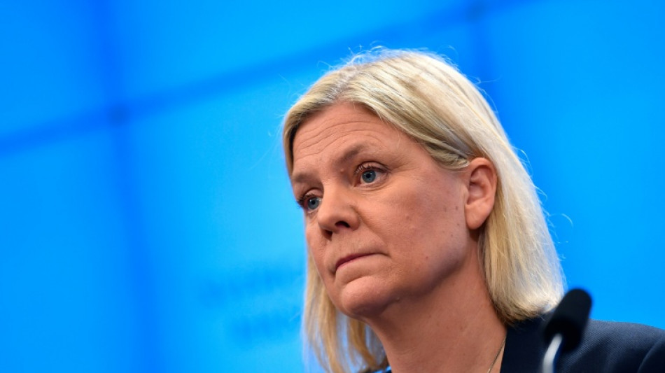  Sweden's Andersson: a trusted, no-nonsense political operator 