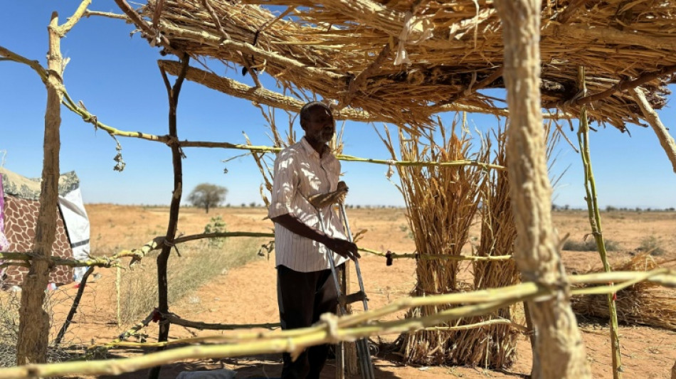  'They beat us with whips': Sudan RSF detainees tell of horrors in El-Fasher 