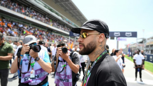 Br&eacute;sil: Neymar menac&eacute; d'une amende d'un milion d'euros pour "infractions environnementales"