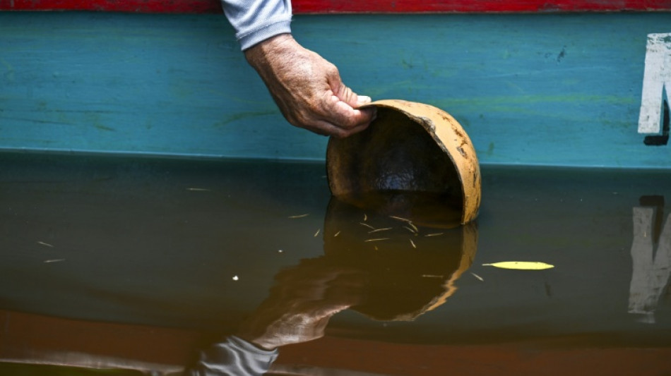  Guatemala ensures survival of vulnerable 'fossil' fish 