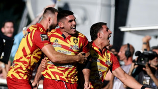 Top 14: Perpignan bat Provence Rugby et d&eacute;croche son maintien en sp&eacute;cialiste