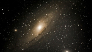 Comment l'effondrement surprise d'une &eacute;toile pourrait nous en apprendre plus sur les trous noirs