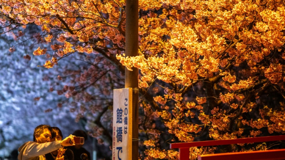  Chinese visitors to Japan plunge 45.2% in February 