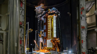 Les Etats-Unis et l'Inde vont lancer un puissant satellite d'observation terrestre