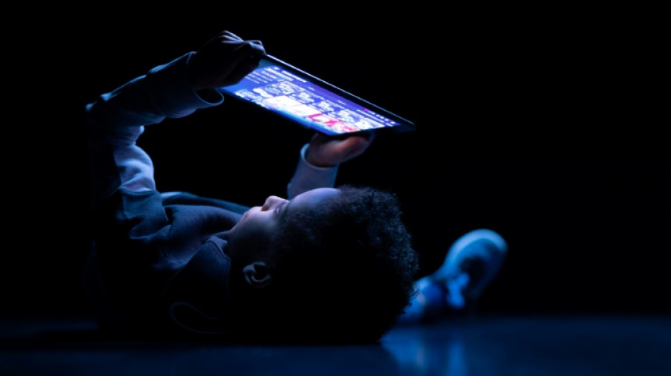 Enfants: proscrire les écrans avant six ans car ils "altèrent durablement santé et capacités intellectuelles", recommandent des experts