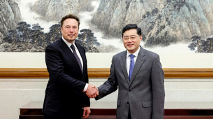 Elon Musk deseja expandir negócios na China