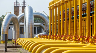 Erdgasverbrauch 2024 weltweit auf neuem H&ouml;chststand