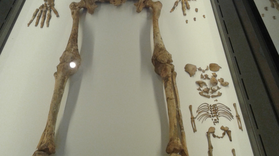 Madre del paleolitico di Ostuni, il feto era un maschio