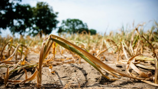 Wetterdienst: Gravierende Folgen f&uuml;r Deutschland durch beschleunigte Erw&auml;rmung