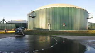 Eingesammelte Bioabf&auml;lle zwischen 2010 und 2020 um fast ein Viertel gestiegen