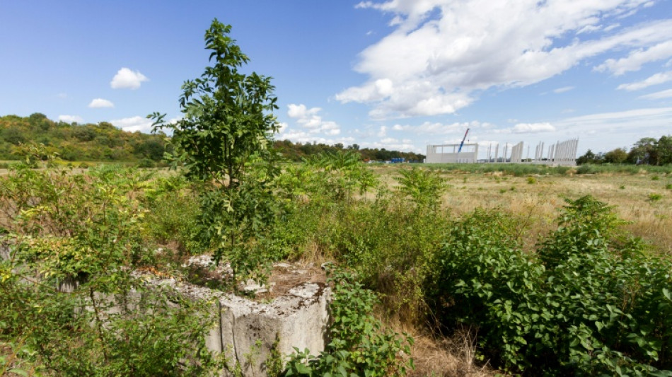  Anger in Austria over business park on former Nazi camp site 