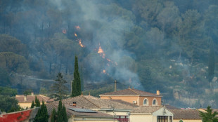 L'incendie dans l'Aude, non ma&icirc;tris&eacute; &agrave; la tomb&eacute;e de la nuit, parcourt des centaines d'hectares