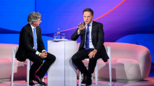 Rutte: Geringe Verteidigungsausgaben der Nato-L&auml;nder "riesiges &Auml;rgernis"