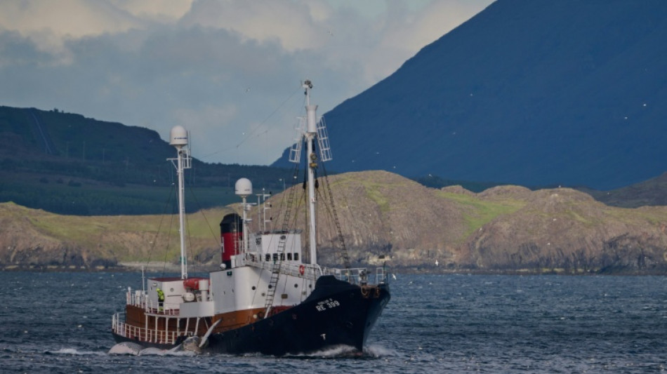  Islandia reanuda la caza de ballenas tras dos a&ntilde;os de par&oacute;n 