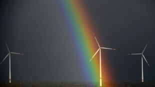 EU says 'well on track' to reach 2030 climate targets