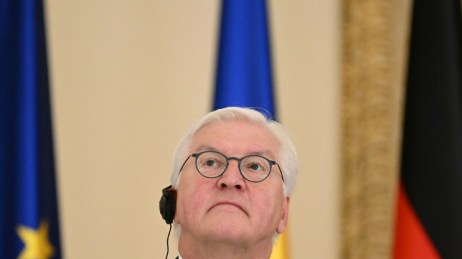 Steinmeier bekräftigt Initiative für soziale Pflichtzeit