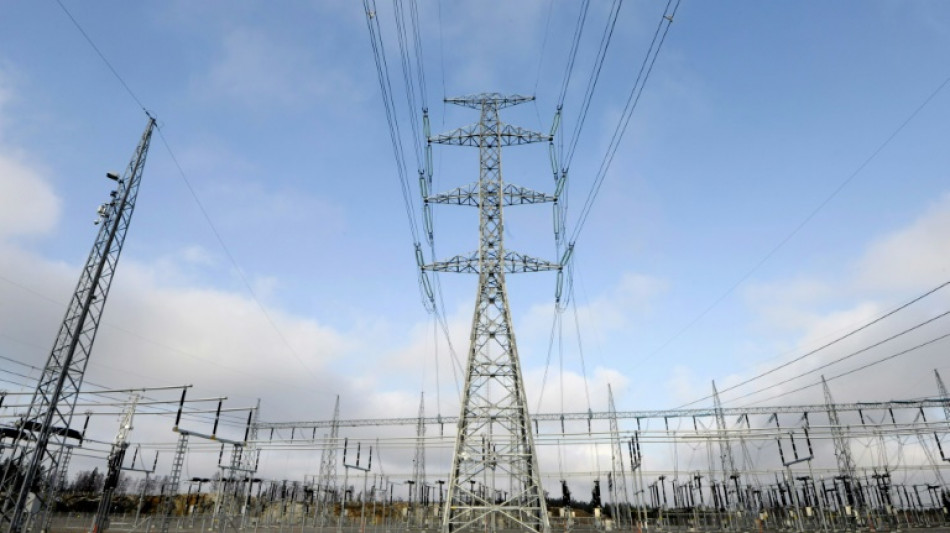 Bundeskartellamt besch&auml;ftigt sich mit starken Schwankungen an Stromb&ouml;rsen