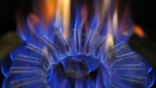 Ch&egrave;que &eacute;nergie: pas de prolongation du guichet, faute de budget