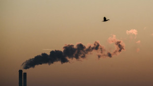 La inversi&oacute;n para protecci&oacute;n ambiental debe m&aacute;s que duplicarse para 2025