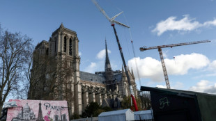 Trump participar&aacute; de reabertura de Notre-Dame em Paris