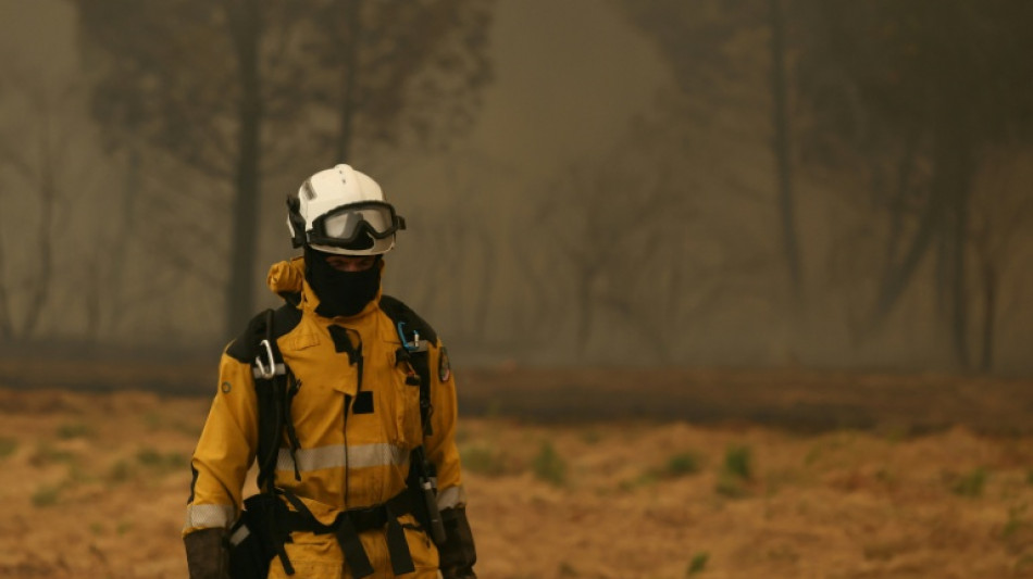  'Fire calling the shots': France's blaze pushes crews to the brink 