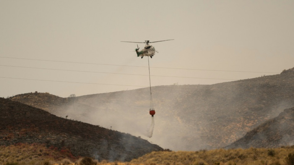  Waldbrand in Andalusien weitgehend unter Kontrolle - erste Evakuierte kehren zur&uuml;ck 