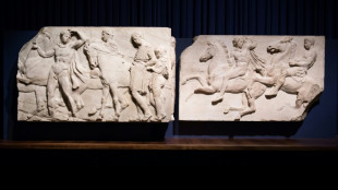 El Museo Brit&aacute;nico finaliza un acuerdo para devolver los m&aacute;rmoles del Parten&oacute;n a Grecia, seg&uacute;n la prensa