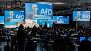 Landtagswahl in Sachsen: AfD-Landeschef Urban zum Spitzenkandidaten gewählt