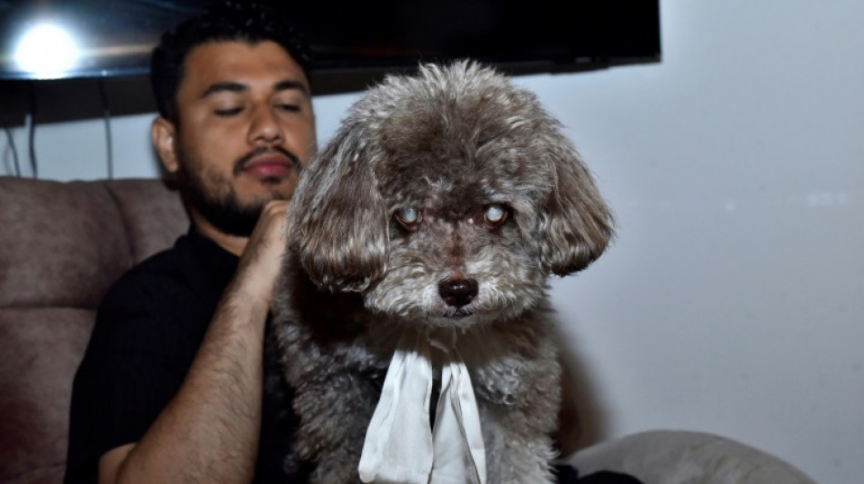  "Una historia de amor": la mujer que muri&oacute; para salvar a su perro del terremoto en Colombia 
