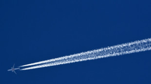 EU-Parlament verabschiedet Vorgaben zu E-Fuels im Flugverkehr