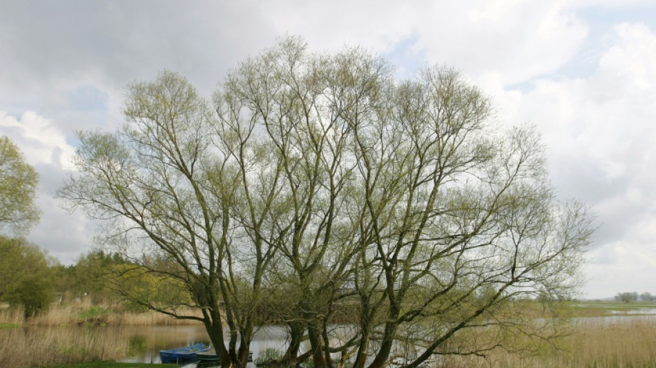 Rainald Grebe w&uuml;rde "Brandenburg" heute nicht mehr schreiben