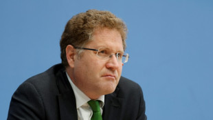 Bundestags-Ausschuss will Staatssekretär Graichen befragen 