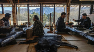 From predator to plate: Japan bear crisis sparks culinary craze