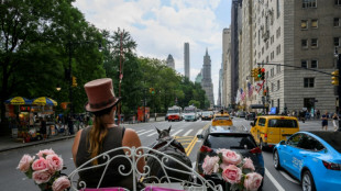 Central Park horse-drawn carriages face ride into the sunset