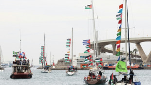 Activistas de &ntilde;a Flotilla para Gaza denuncian un presunto abuso "cruel" y "s&aacute;dico"