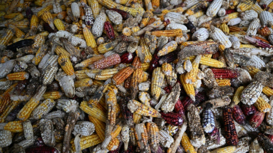 Au Guatemala, en proie aux conditions climatiques extr&ecirc;mes, on apprend &agrave; s'adapter