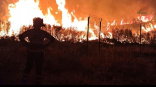 Espagne: l'incendie &agrave; 100 km au nord de Madrid a ravag&eacute; 26.000 hectares, 1.200 &eacute;vacu&eacute;s, selon les pompiers