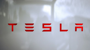 Tesla to offer shareholders chance to invest in xAI: Musk