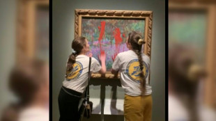 Ativistas jogam tinta vermelha no vidro de proteção de tela de Monet