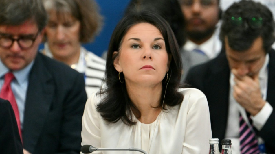 Baerbock: Deutschland setzt sich f&uuml;r friedlichen Machtwechsel in Syrien ein