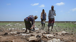 Trece millones de personas en peligro de hambruna en el Cuerno de África