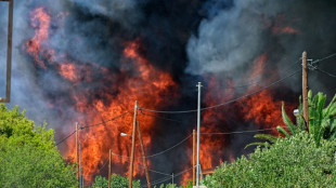 1200 Kinder wegen eines Waldbrands in der Nähe von Athen evakuiert