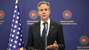 Blinken fordert T&uuml;rkei zum Handeln gegen den IS in Syrien auf