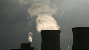 Germany raises growth forecasts, but warns reforms needed