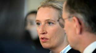 Verfassungsschutz nennt AfD vorläufig nicht mehr öffentlich rechtsextremistisch