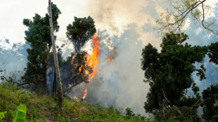 Brûlis illégaux et cyclone, un terrain propice pour les feux à Mayotte
