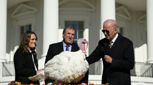 US-Pr&auml;sident Biden begnadigt vor Thanksgiving zwei Truth&auml;hne