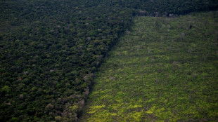 La déforestation toujours au plus haut dans l'Amazonie brésilienne