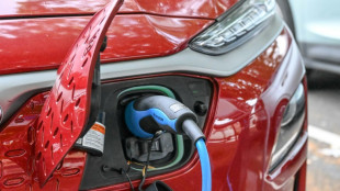 E-Autos als Stromspeicher: Habeck will bidirektionales Laden ab 2025 einf&uuml;hren